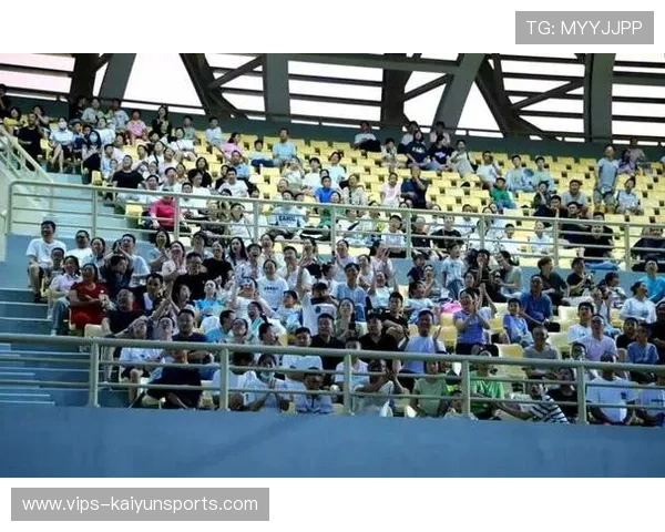 中国足球的球迷观赛体验提升策略，足球观众