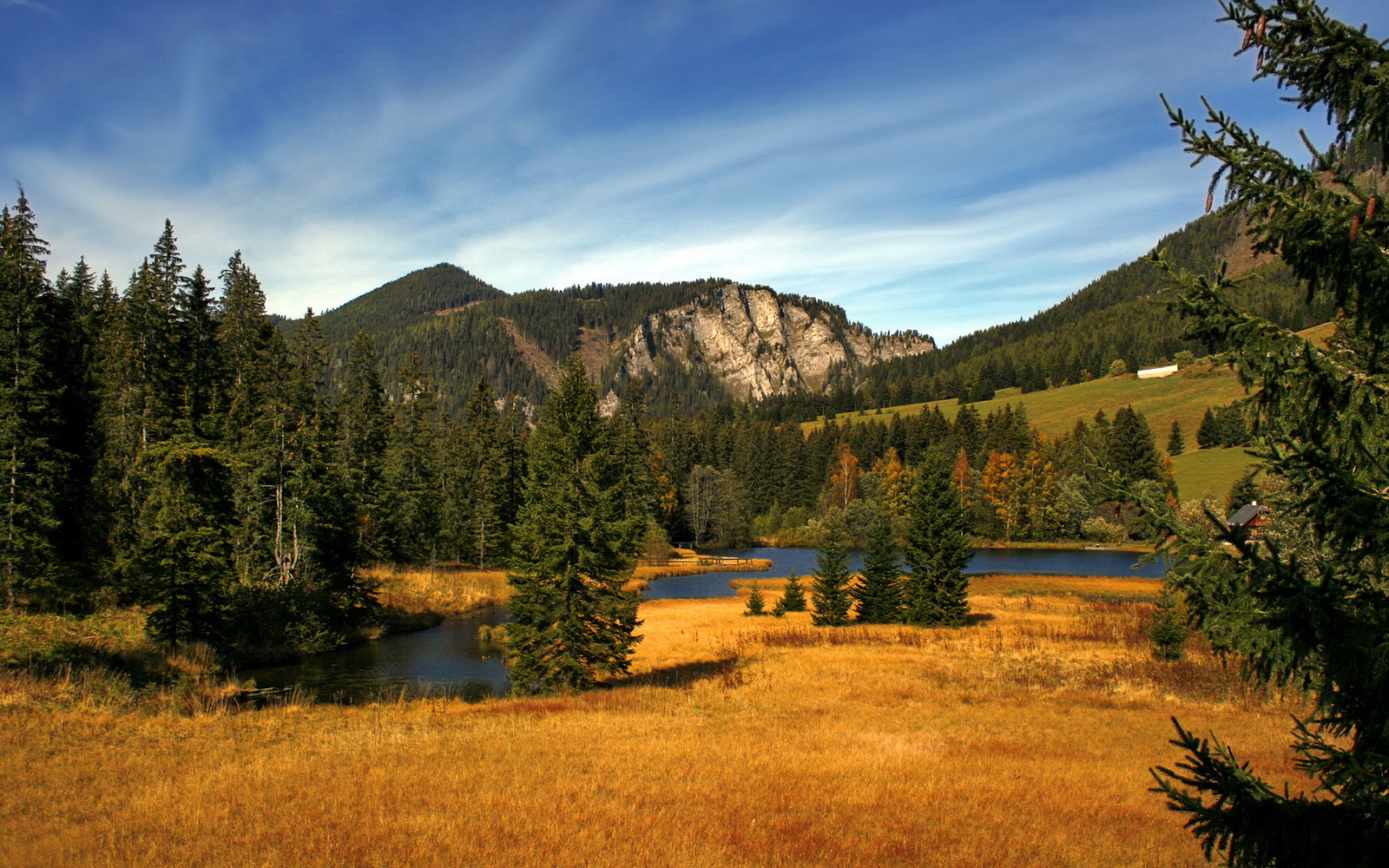 开云体育在线赛事直播-“尼古拉斯·桑特基的精准远射与高效传球，成为美洲狮队攻守兼备的核心”